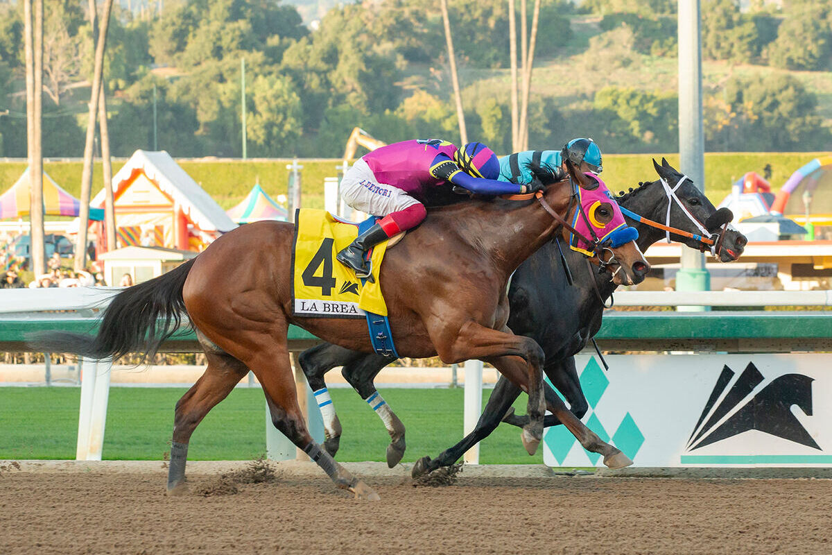 Daddysruby, Watsonville win graded stakes races on Opening Day at Santa
