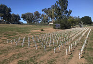 field of crosses